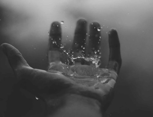 Next Steps of Active Acceptance